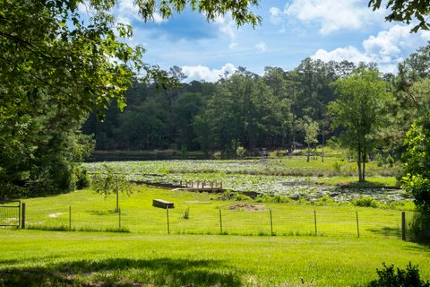 Tiny photo for 897 Edisto Lake Road, Wagener, SC 29164 (MLS # 214303)