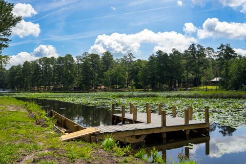Tiny photo for 897 Edisto Lake Road, Wagener, SC 29164 (MLS # 214303)