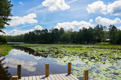 Tiny photo for 897 Edisto Lake Road, Wagener, SC 29164 (MLS # 214303)