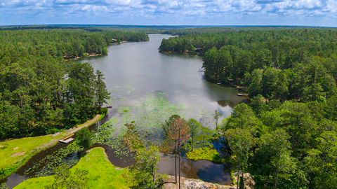 Tiny photo for 897 Edisto Lake Road, Wagener, SC 29164 (MLS # 214303)