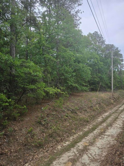 Photo of Tbd Leonard Lane, North Augusta, SC 29860 (MLS # 223388)