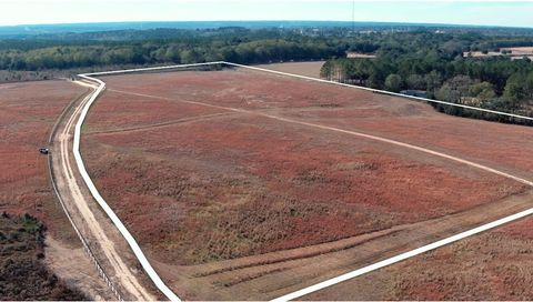 Photo of 1474 Shaws Fork Road, Aiken, SC 29805 (MLS # 221163)