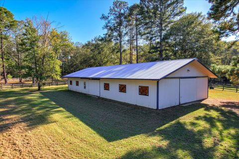 Tiny photo for 1458 Coleman Bridge Road, Wagener, SC 29164 (MLS # 220280)