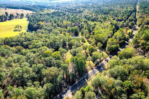 Tiny photo for 1458 Coleman Bridge Road, Wagener, SC 29164 (MLS # 220280)