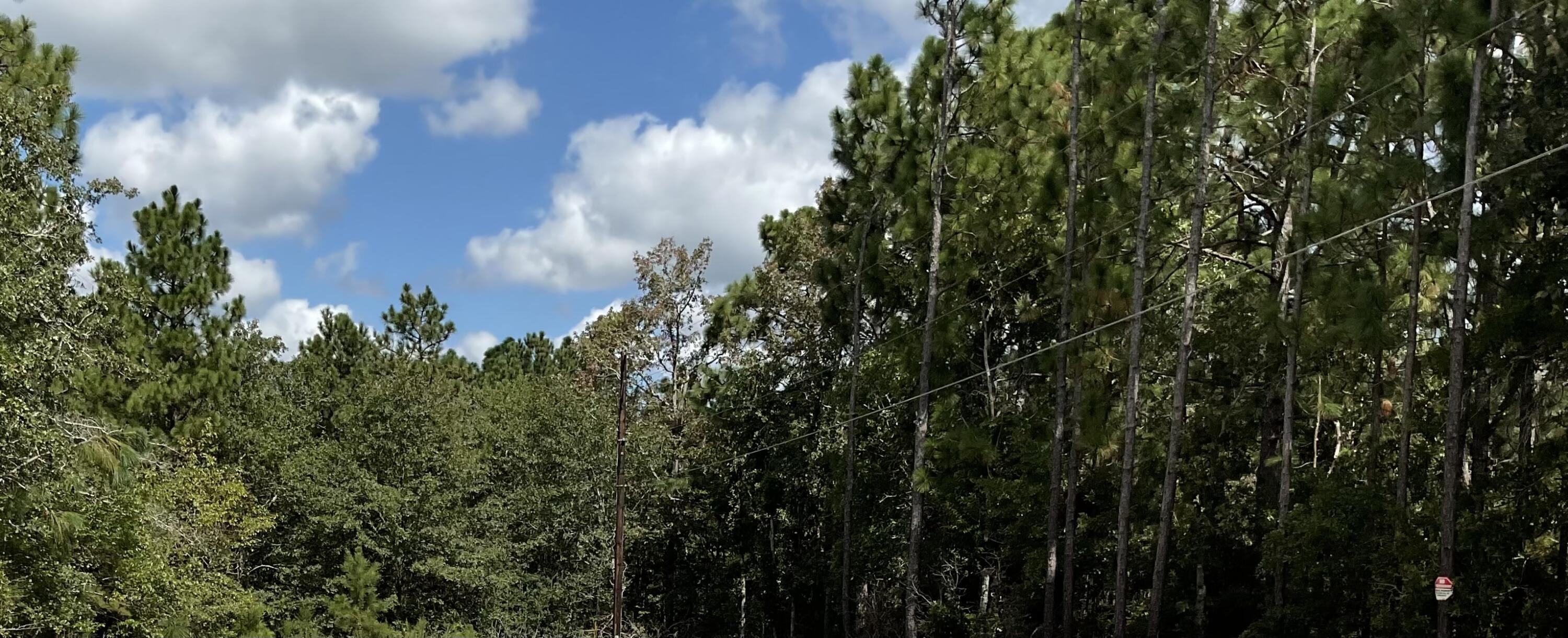 Aiken, South Carolina 29801, United States, ,Land,Active,210978 Aiken, South Carolina 29801, United States, ,Land,Active,210978