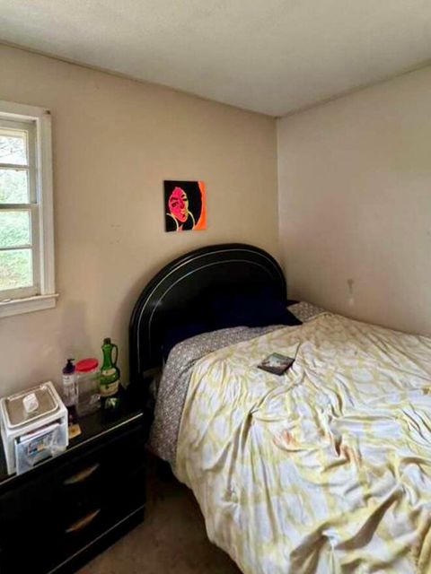 Tiny photo for 1411 Wilton E Hall Road, Starr, SC 29684 (MLS # 221386)