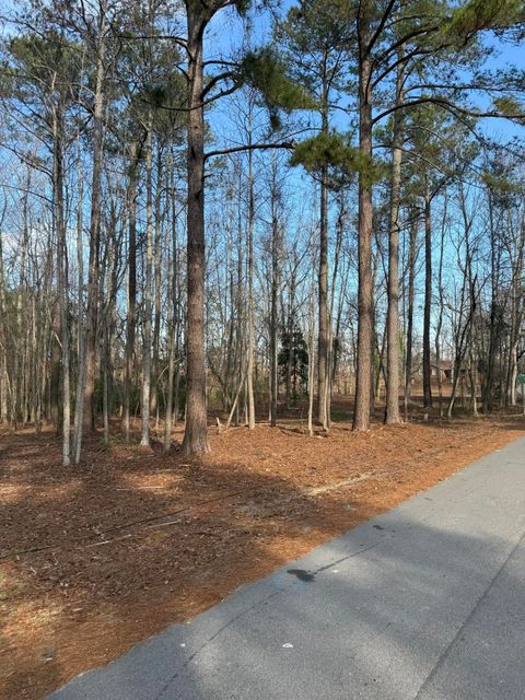 Photo of Tbd Dogwood Lane, Johnston, SC 29832 (MLS # 221042)