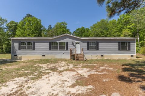 Photo of 340 Springflower Road, Wagener, SC 29164 (MLS # 216951)