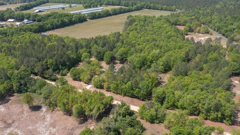 Tiny photo for 340 Springflower Road, Wagener, SC 29164 (MLS # 216951)