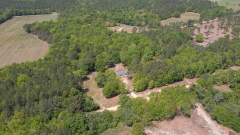 Tiny photo for 340 Springflower Road, Wagener, SC 29164 (MLS # 216951)