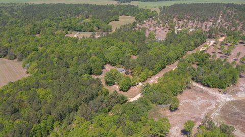Tiny photo for 340 Springflower Road, Wagener, SC 29164 (MLS # 216951)