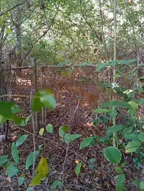 Tiny photo for 1909 Agnew Road, Starr, SC 29684 (MLS # 219854)
