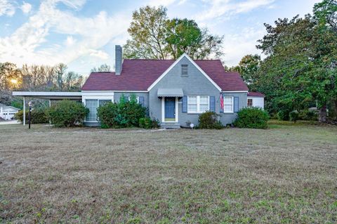 Photo of 5866 Carolina Highway, Denmark, SC 29042 (MLS # 220846)