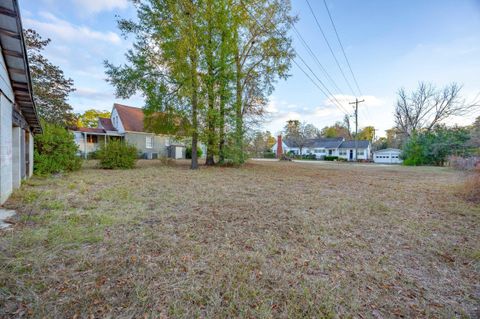 Tiny photo for 5866 Carolina Highway, Denmark, SC 29042 (MLS # 220846)