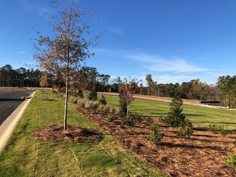 Tiny photo for 263 Devereux Drive #Lot 4001 (D1), Aiken, SC 29803 (MLS # 222136)