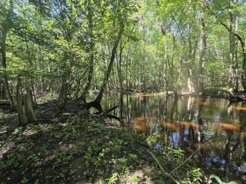Tiny photo for 247 Horseshoe Trail, Barnwell, SC 29812 (MLS # 217871)