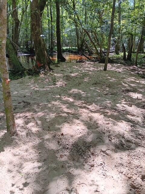 Tiny photo for 247 Horseshoe Trail, Barnwell, SC 29812 (MLS # 217871)