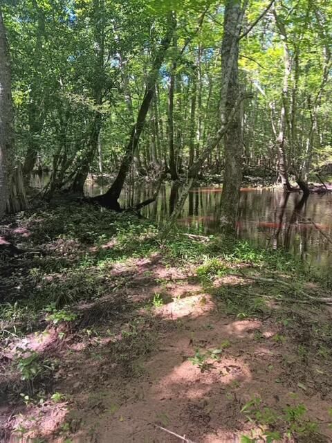 Tiny photo for 247 Horseshoe Trail, Barnwell, SC 29812 (MLS # 217871)