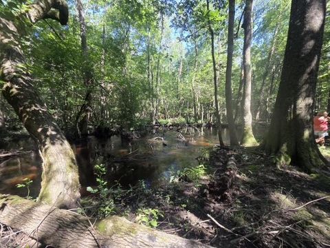 Tiny photo for 247 Horseshoe Trail, Barnwell, SC 29812 (MLS # 217871)