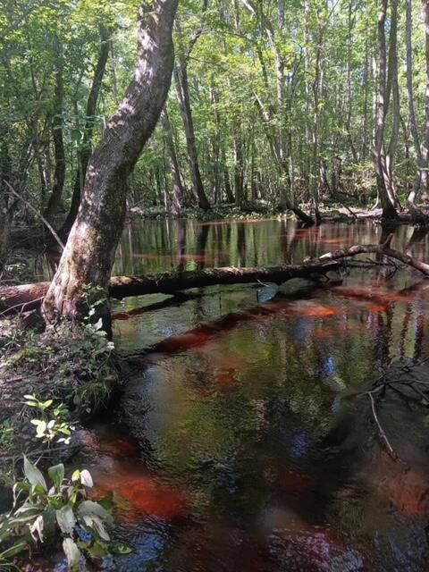 Tiny photo for 247 Horseshoe Trail, Barnwell, SC 29812 (MLS # 217871)