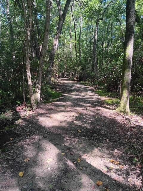 Tiny photo for 247 Horseshoe Trail, Barnwell, SC 29812 (MLS # 217871)