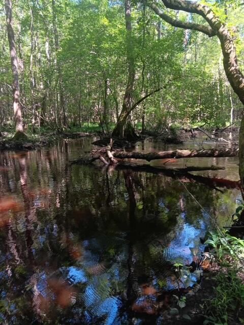 Tiny photo for 247 Horseshoe Trail, Barnwell, SC 29812 (MLS # 217871)