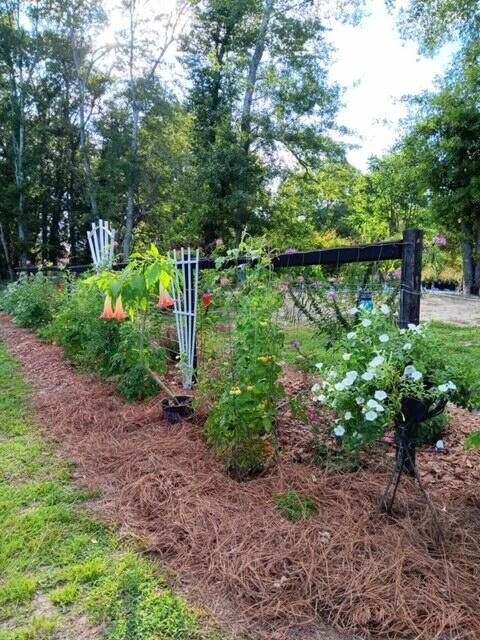 Tiny photo for 247 Horseshoe Trail, Barnwell, SC 29812 (MLS # 217871)