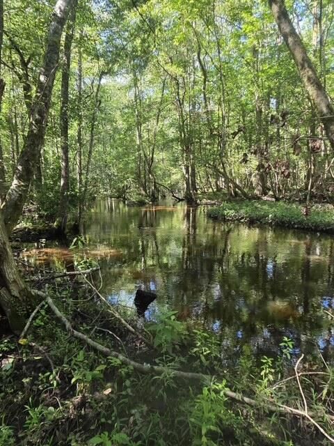 Tiny photo for 247 Horseshoe Trail, Barnwell, SC 29812 (MLS # 217871)