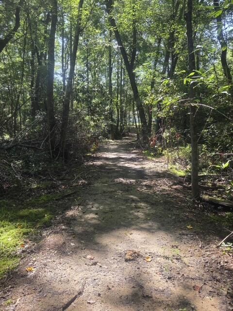 Tiny photo for 247 Horseshoe Trail, Barnwell, SC 29812 (MLS # 217871)