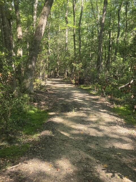 Tiny photo for 247 Horseshoe Trail, Barnwell, SC 29812 (MLS # 217871)