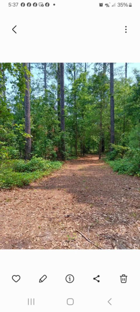 Tiny photo for 247 Horseshoe Trail, Barnwell, SC 29812 (MLS # 217871)