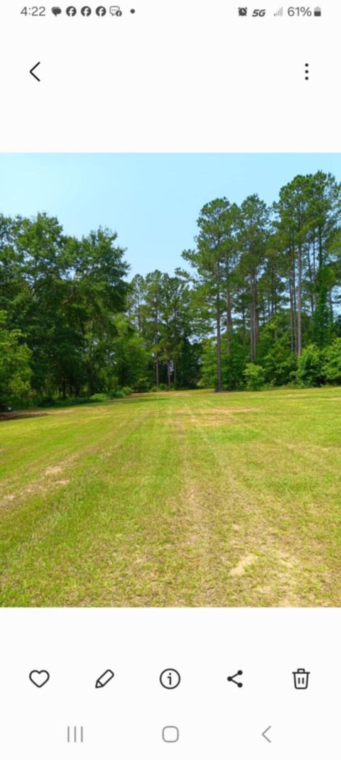 Tiny photo for 247 Horseshoe Trail, Barnwell, SC 29812 (MLS # 217871)