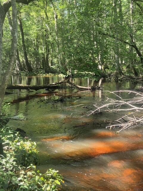 Tiny photo for 247 Horseshoe Trail, Barnwell, SC 29812 (MLS # 217871)