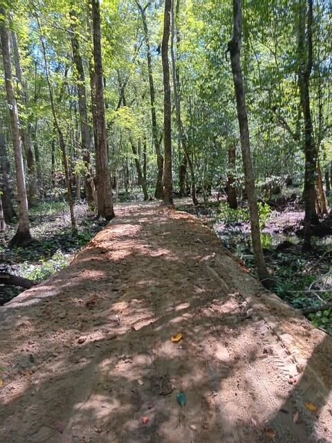 Tiny photo for 247 Horseshoe Trail, Barnwell, SC 29812 (MLS # 217871)