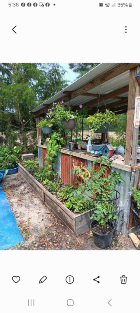 Tiny photo for 247 Horseshoe Trail, Barnwell, SC 29812 (MLS # 217871)