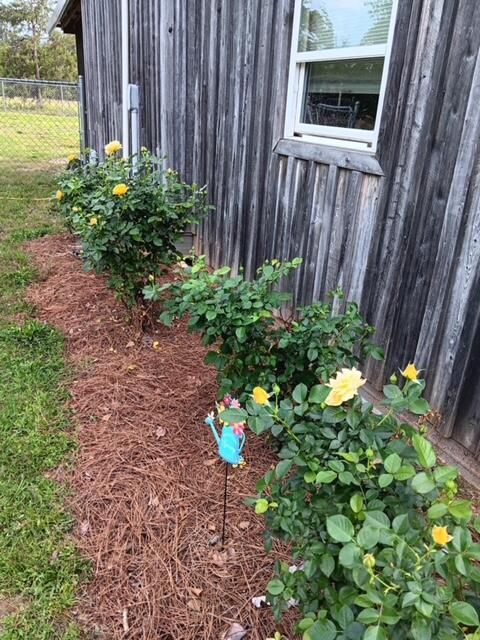 Tiny photo for 247 Horseshoe Trail, Barnwell, SC 29812 (MLS # 217871)