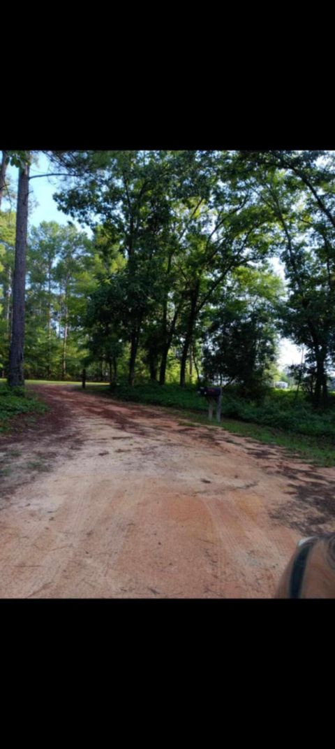 Tiny photo for 247 Horseshoe Trail, Barnwell, SC 29812 (MLS # 217871)