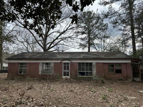 Photo of 231 Holley Street, Wagener, SC 29164 (MLS # 222112)