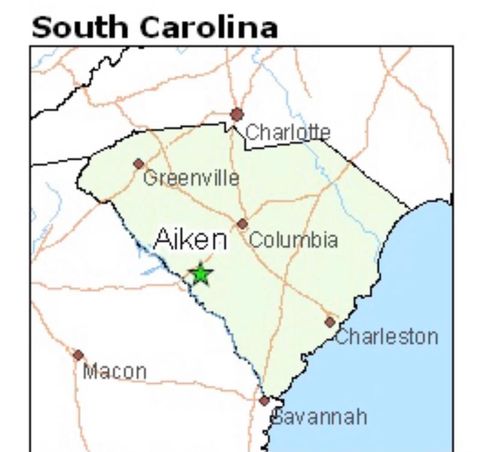 Tiny photo for 782 Brisbane Court, Graniteville, SC 29829 (MLS # 219979)