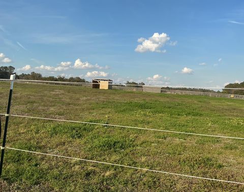 Tiny photo for 1929 New Holland Road, Wagener, SC 29164 (MLS # 222148)