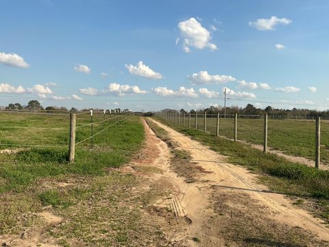 Tiny photo for 1929 New Holland Road, Wagener, SC 29164 (MLS # 222148)