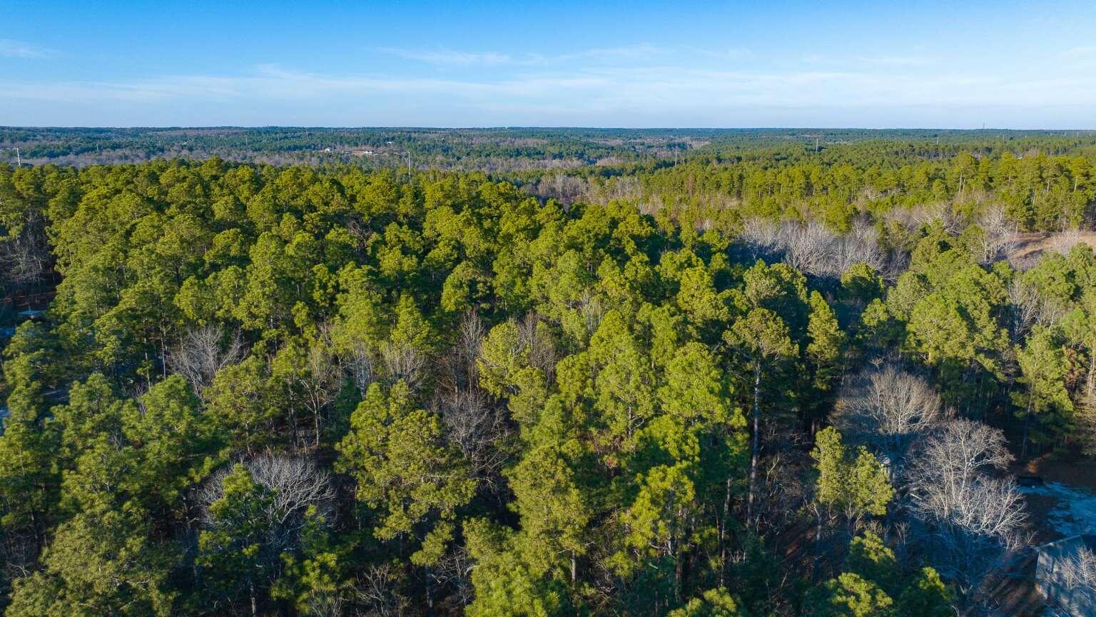 0 0 Rookbranch Lot B Court