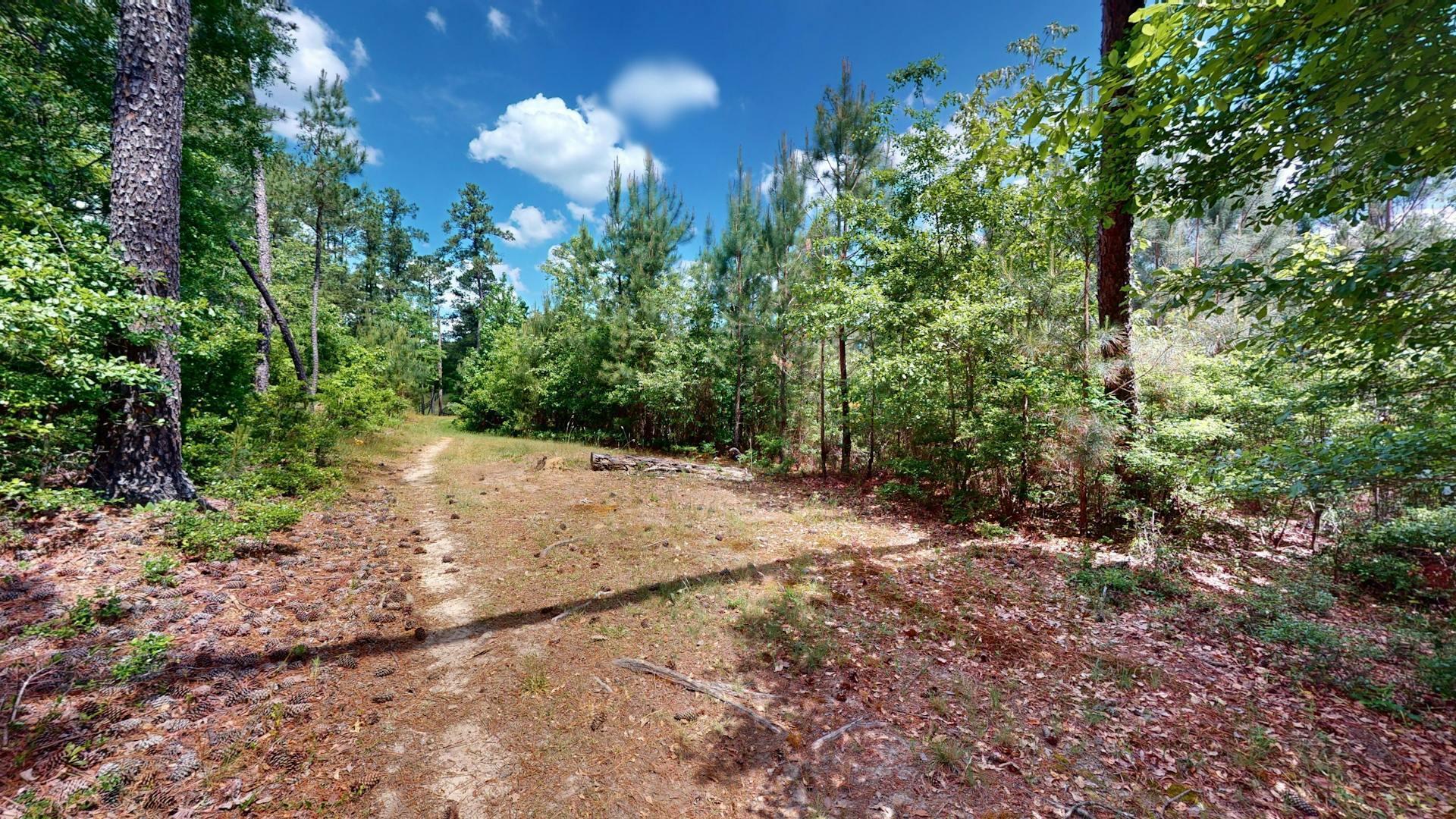 Beech Island, South Carolina 29842, United States, 4 Bedrooms Bedrooms, ,3 BathroomsBathrooms,Residential,Active,58691