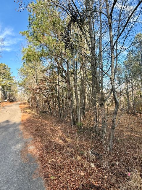 Photo of Lot B Sertoma Drive, Johnston, SC 29832 (MLS # 221041)