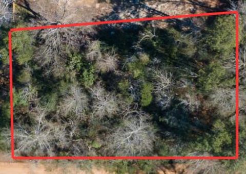 Photo of 449 Harlem Street, New Ellenton, SC 29809 (MLS # 223378)