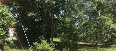 Tbd Sappling Road Barnwell SC 29812