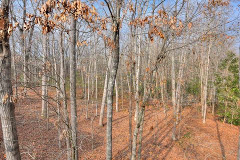 Tiny photo for 147 Cottonwood Creek Lane, Aiken, SC 29803 (MLS # 215737)