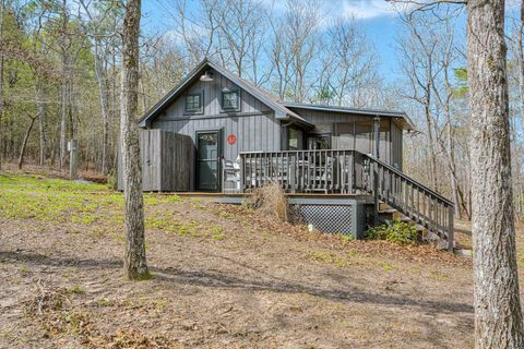 Photo of 681, 693 Edisto Lake Road, Wagener, SC 29164 (MLS # 222319)