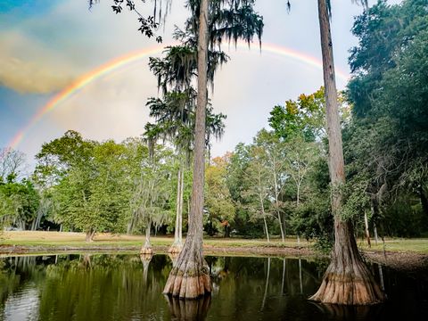 Tiny photo for 4446 Char Augusta Road, Bamberg, SC 29003 (MLS # 220748)