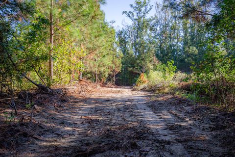Tiny photo for 4446 Char Augusta Road, Bamberg, SC 29003 (MLS # 220748)